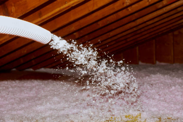 Best Insulation Maintenance and Repair in Lake Royale, NC