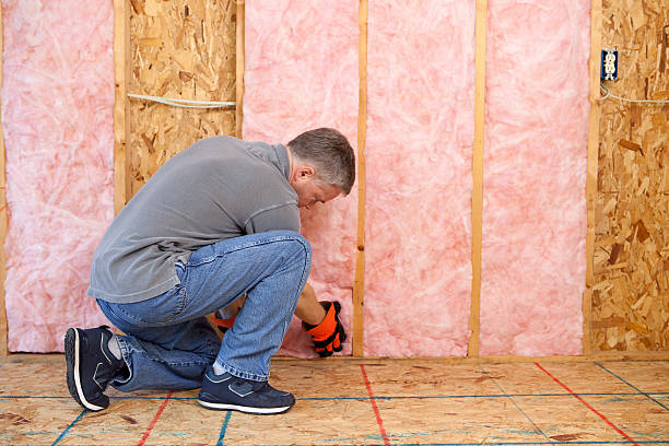 Best Insulation Maintenance and Repair in Lake Royale, NC